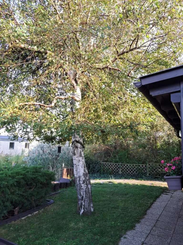 Wohnung kaufen in Eisenstadt - Umgebung – 39 m², € 30.000 – Bild 3 von 15