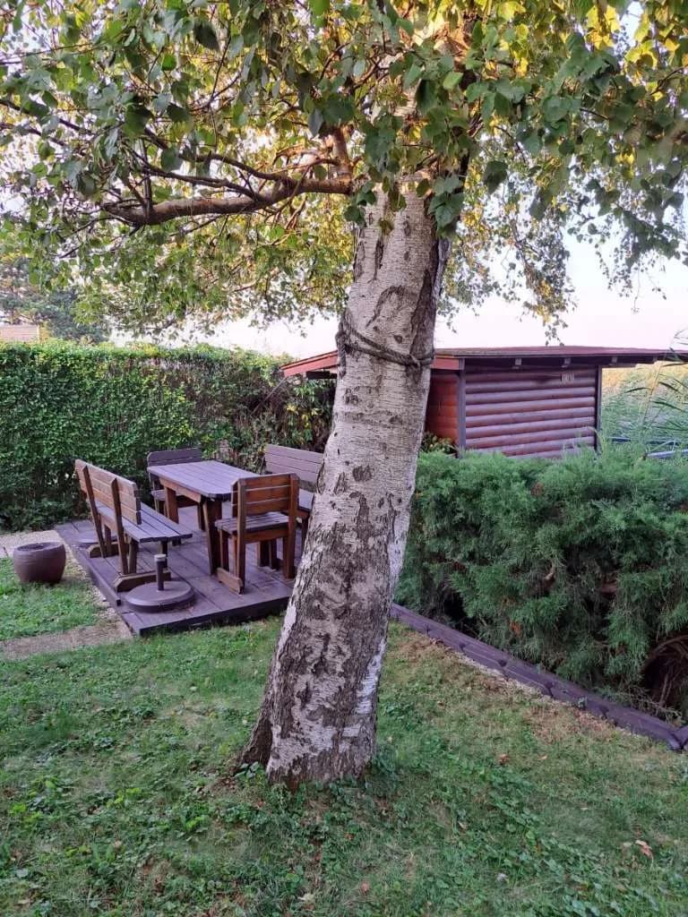 Wohnung kaufen in Eisenstadt - Umgebung – 39 m², € 30.000 – Bild 5 von 15