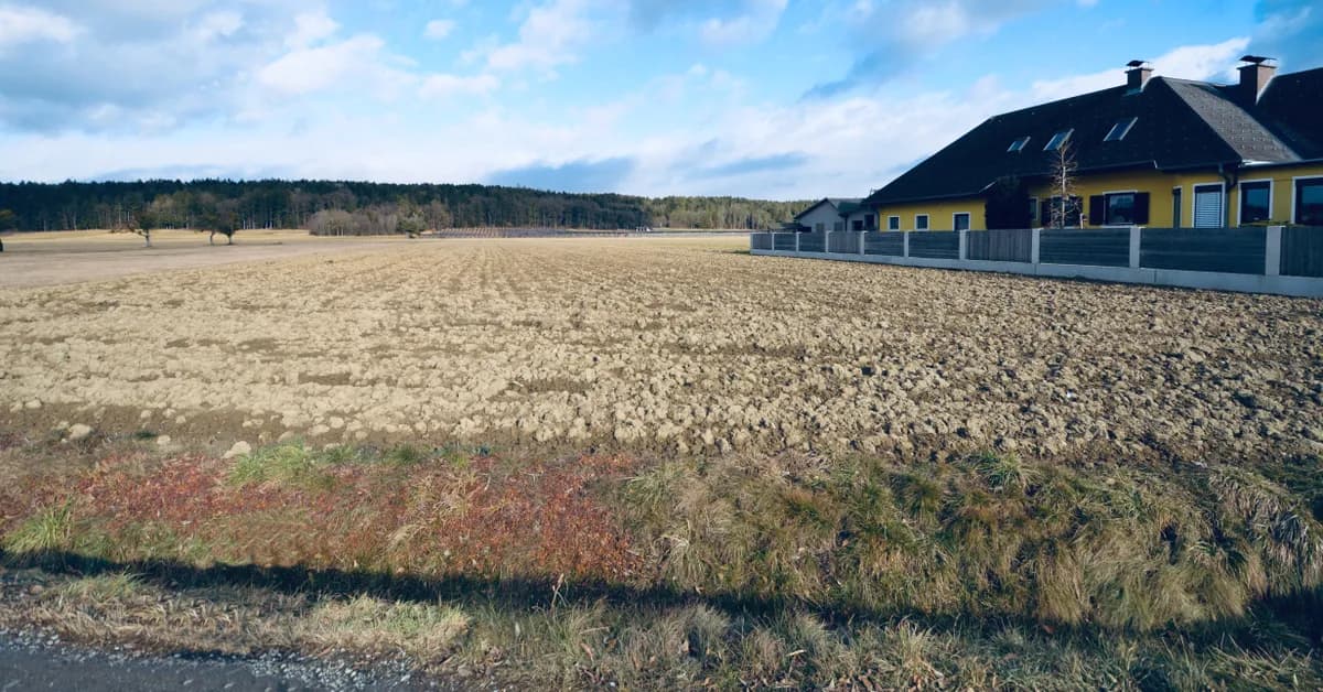 Grundstück kaufen in Hartberg-Fürstenfeld – 3 000 m², € 128.000 – Bild 3 von 5