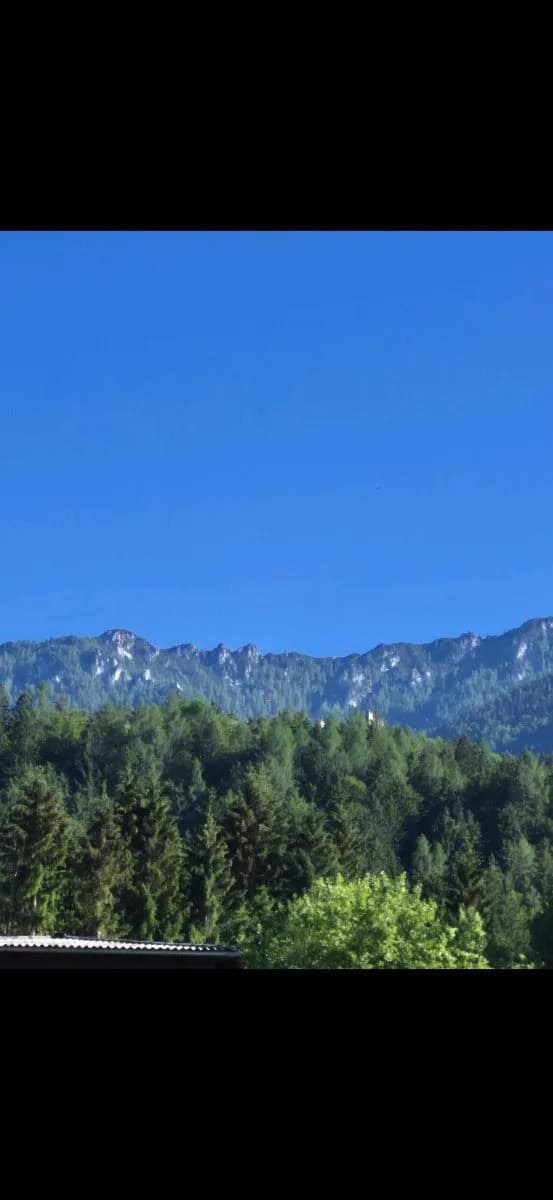 Grundstück kaufen in Villach Land – 700 m² – Bild 6 von 14