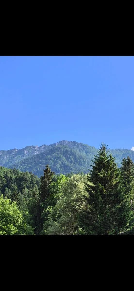 Grundstück kaufen in Villach Land – 700 m² – Bild 7 von 14