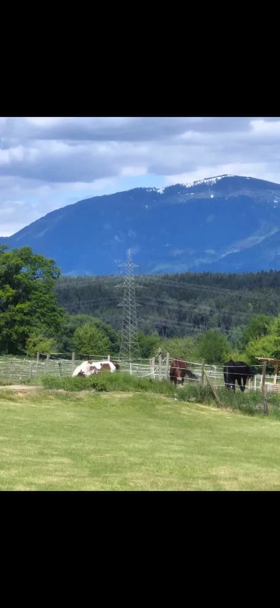 Grundstück kaufen in Villach Land – 700 m² – Bild 13 von 14