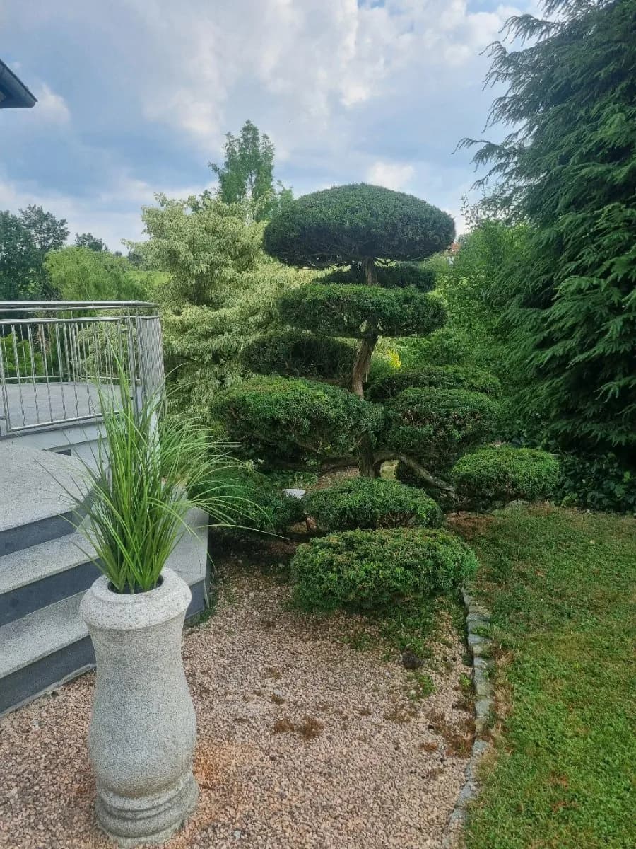 Haus kaufen in Schärding – 314 m² – Bild 5 von 17