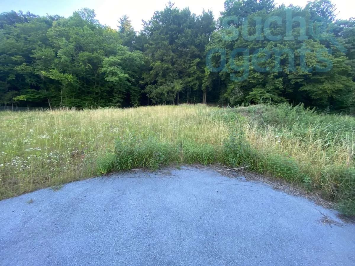 Grundstück kaufen in Graz-Umgebung – 3 556 m², € 389.900