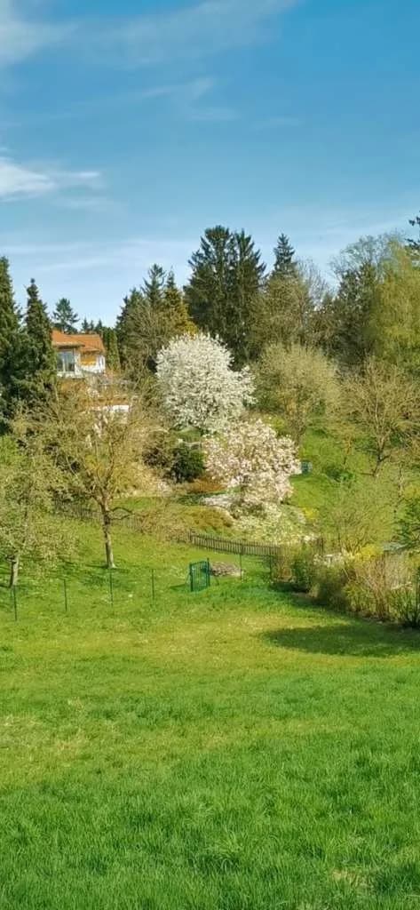 Grundstück kaufen in Rohrbach – 1 214 m², € 74.000 – Bild 7 von 11