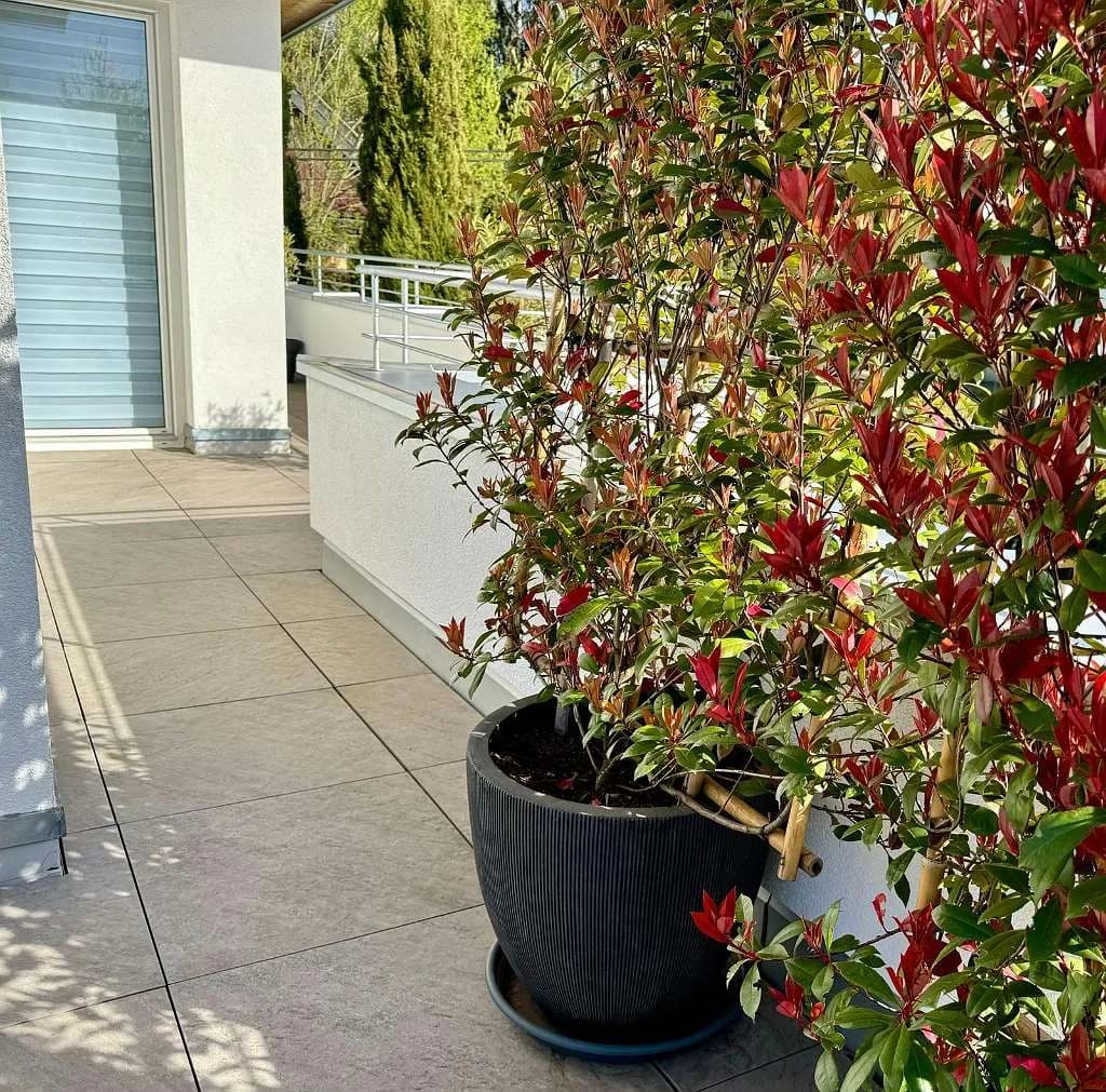 6-Zimmer-Gewerbeimmobilie kaufen in Graz – 175 m², € 875.000 – Bild 22 von 30