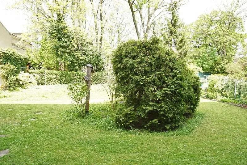 2-Zimmer-Wohnung mieten in Mödling – 50 m², € 790 – Bild 24 von 24