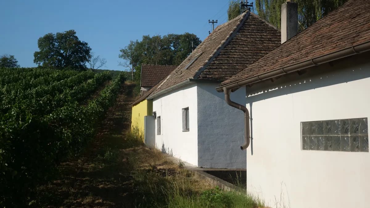 2-Zimmer-Haus kaufen in Hollabrunn – 55 m², € 35.900 – Bild 11 von 15
