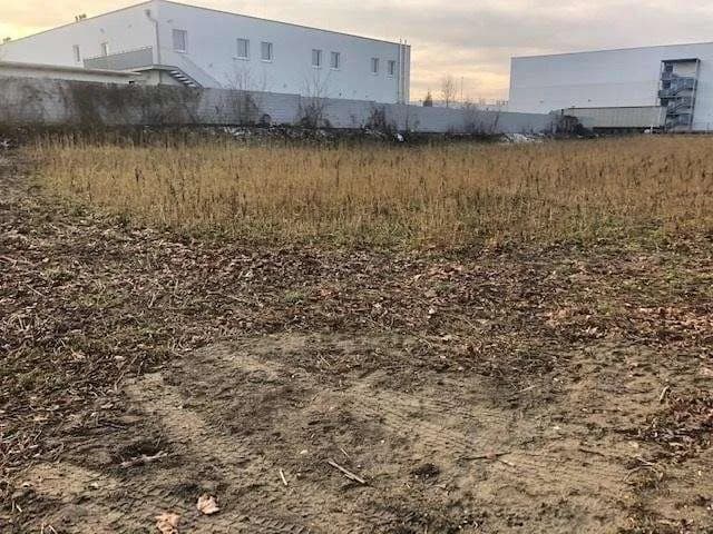 Grundstück mieten in Linz Land – 2 478 m² – Bild 4 von 8
