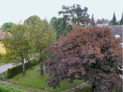 2-Zimmer-Wohnung mieten in Sankt Pölten Land – 50 m², € 590 – Bild 7 von 7