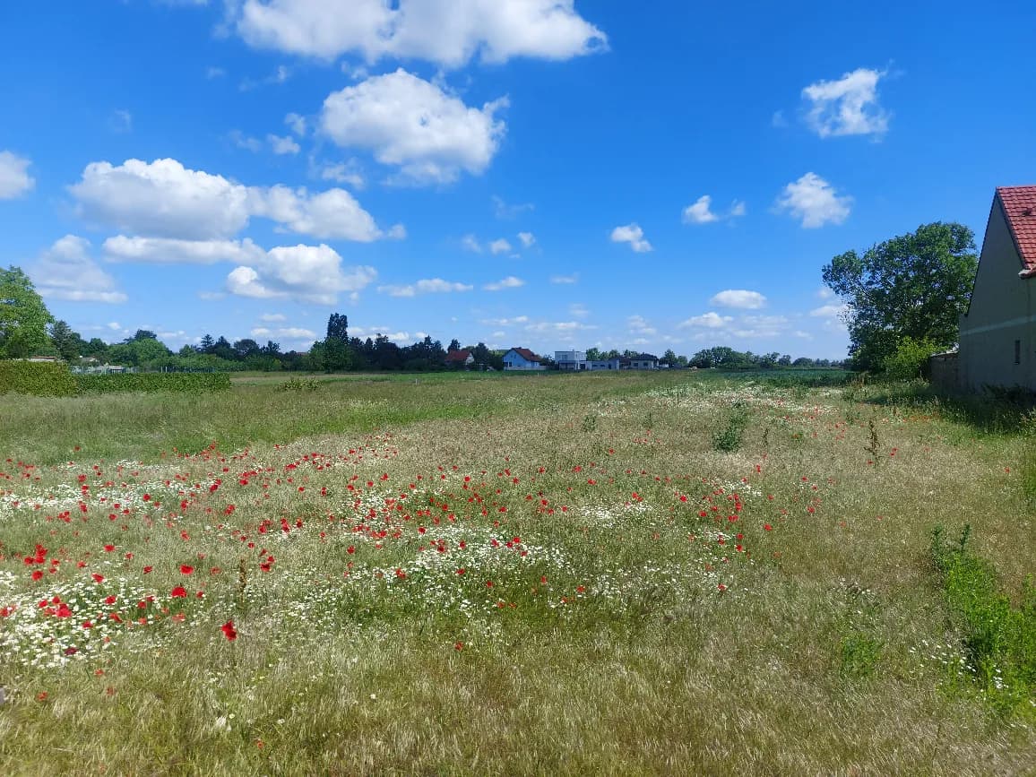 Grundstück kaufen in Neusiedl am See – 1 641 m², € 128 – Bild 2 von 5