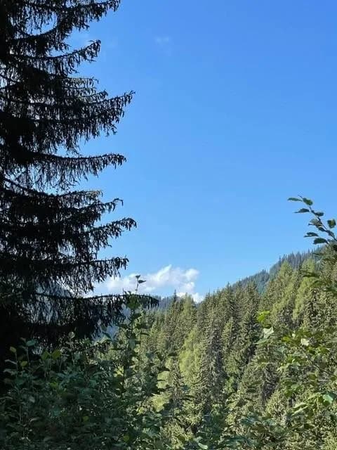 Grundstück kaufen in Sankt Johann im Pongau – 623 m² – Bild 7 von 12