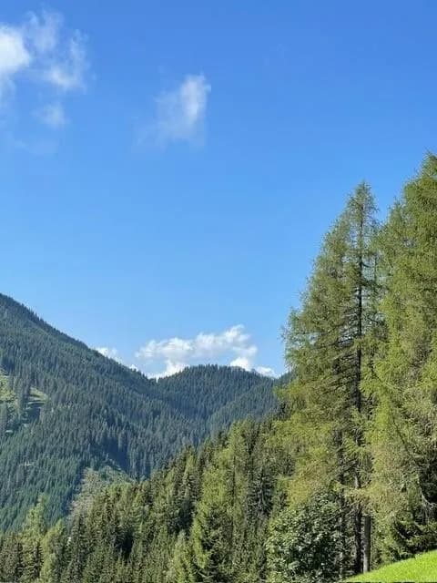 Grundstück kaufen in Sankt Johann im Pongau – 623 m² – Bild 8 von 12