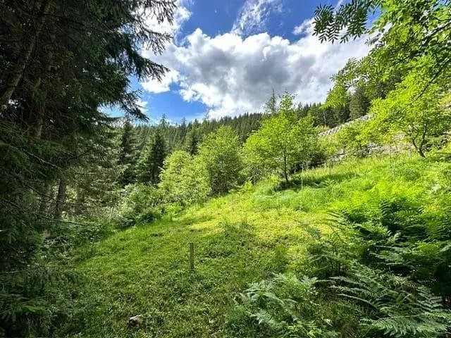 Grundstück kaufen in Sankt Johann im Pongau – 623 m² – Bild 9 von 12