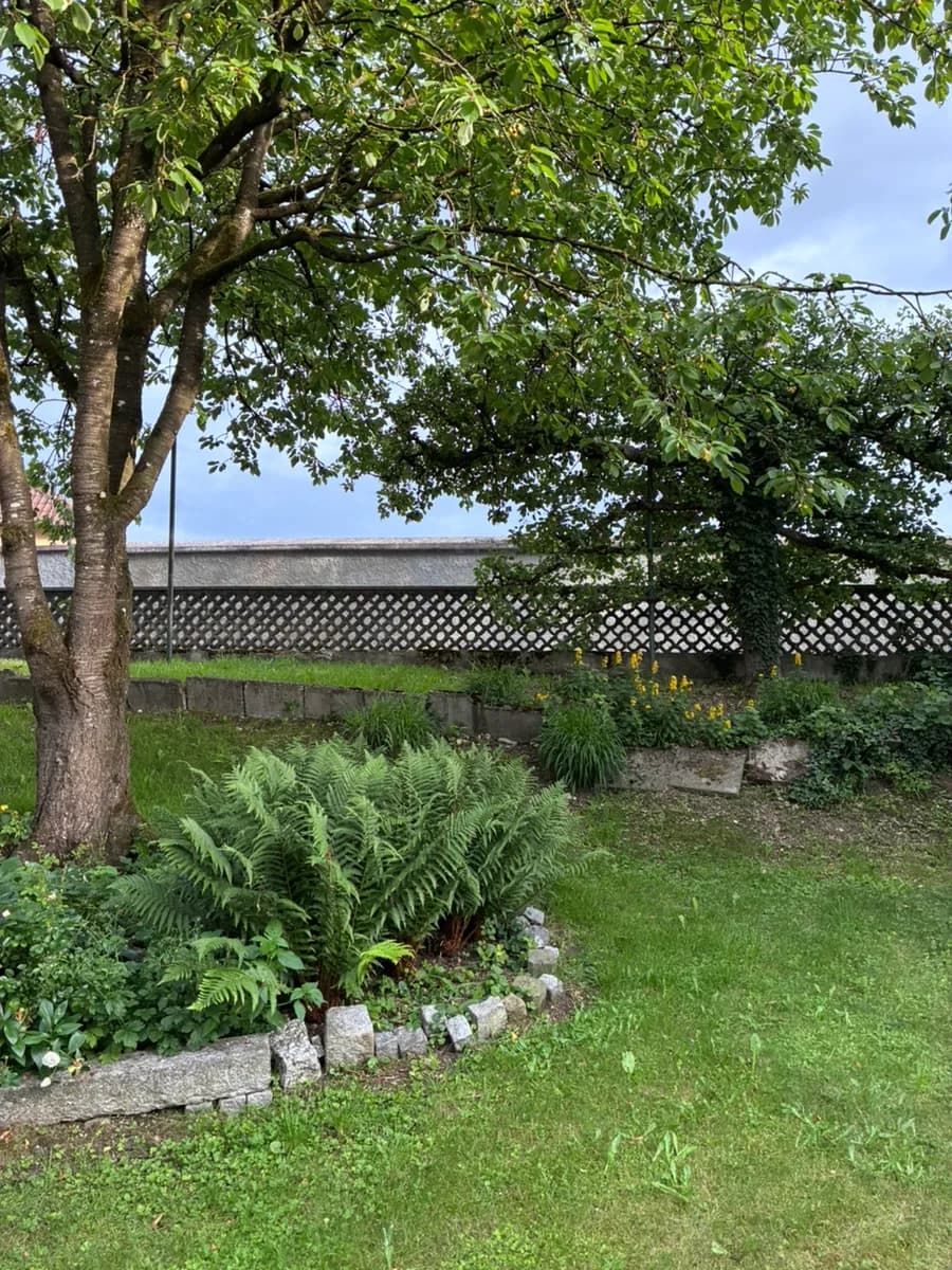 3-Zimmer-Wohnung mieten in Wels-Land – 90 m², € 1.080 – Bild 6 von 41