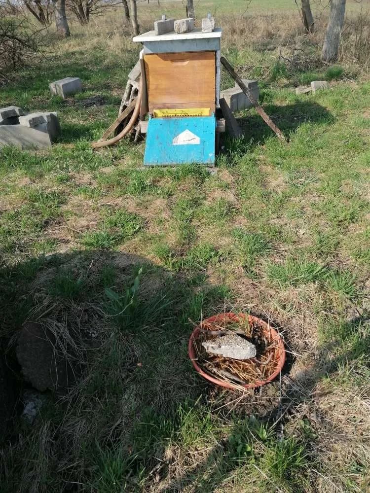 Immobilie kaufen in Neusiedl am See – 7 037 m², € 11 – Bild 21 von 34