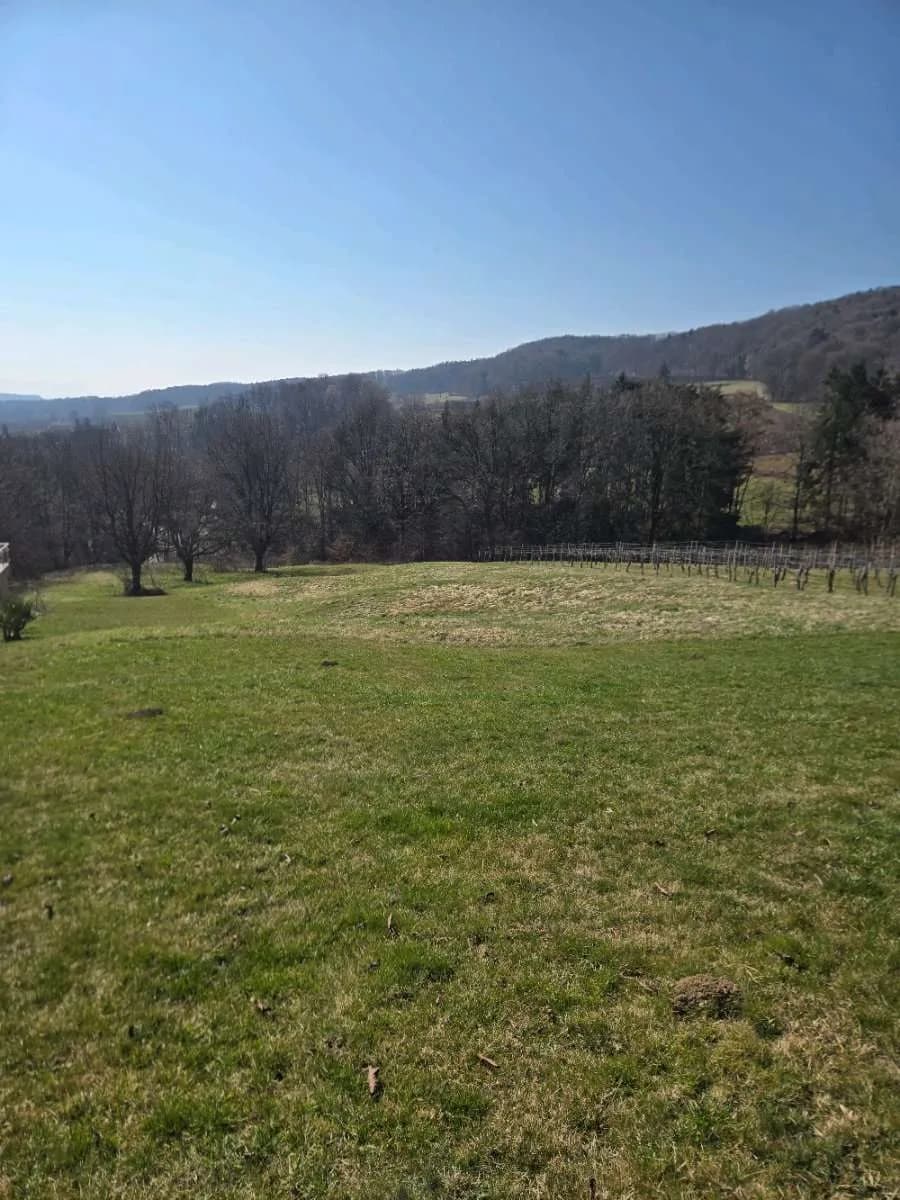 Grundstück kaufen in Südoststeiermark – 4 700 m², € 66.500 – Bild 1 von 3