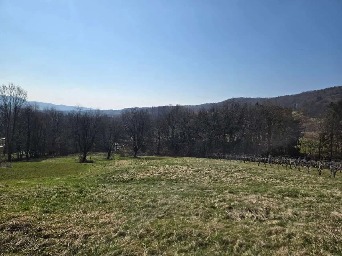 Grundstück kaufen in Südoststeiermark – 4 700 m², € 66.500 – Bild 2 von 3