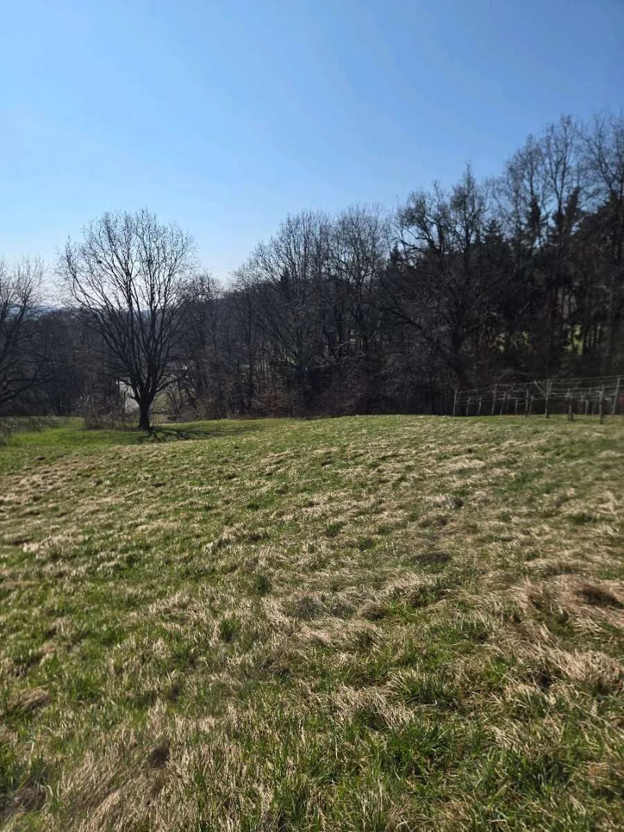 Grundstück kaufen in Südoststeiermark – 4 700 m², € 66.500 – Bild 3 von 3
