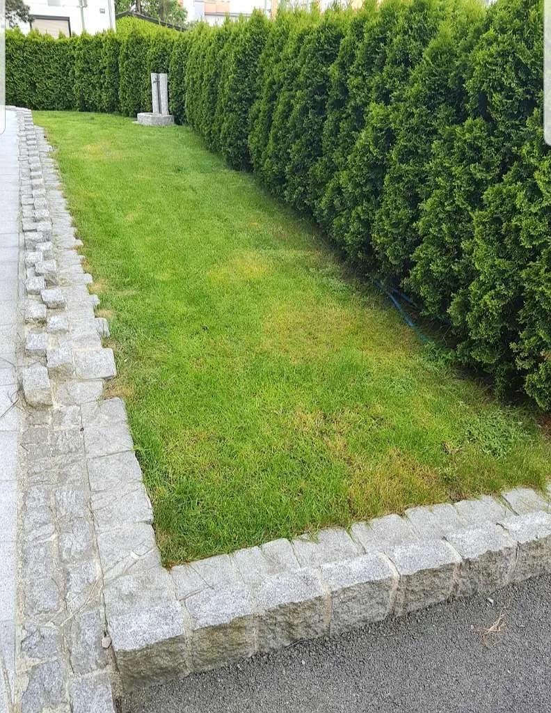 2-Zimmer-Wohnung mieten in Wels – 80 m², € 1.051 – Bild 27 von 32