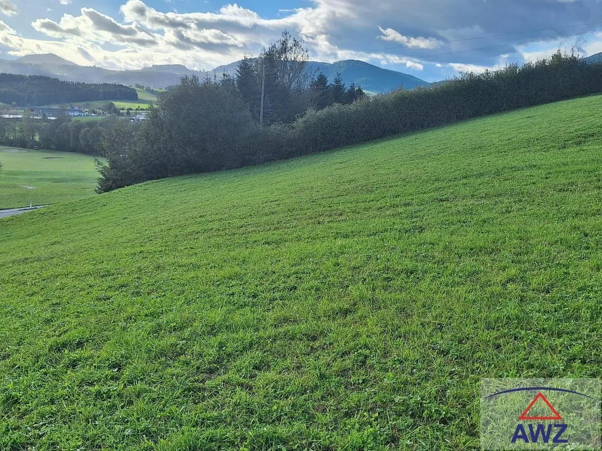 Grundstück kaufen in Weiz – 2 615 m² – Bild 4 von 8