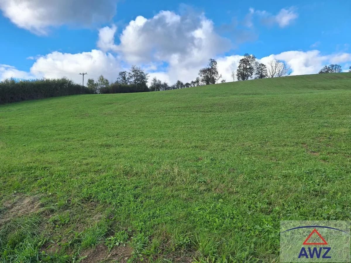 Grundstück kaufen in Weiz – 2 615 m² – Bild 5 von 8
