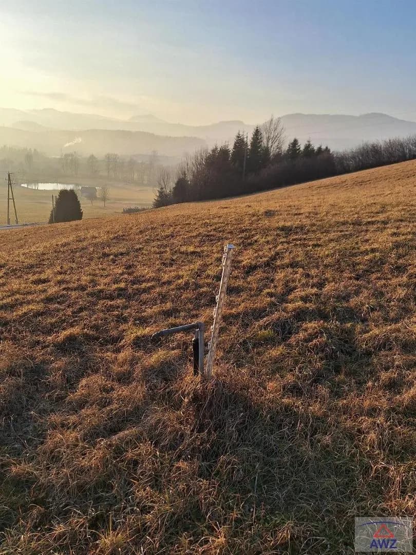 Grundstück kaufen in Weiz – 2 615 m² – Bild 7 von 8