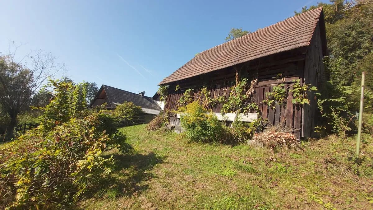 Grundstück kaufen in Graz-Umgebung – 2 800 m², € 300 – Bild 4 von 10