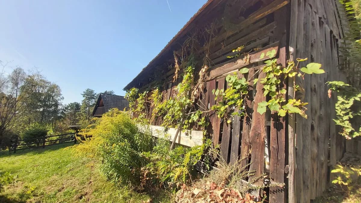 Grundstück kaufen in Graz-Umgebung – 2 800 m², € 300 – Bild 5 von 10