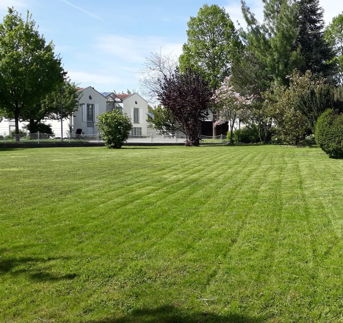 Grundstück kaufen in Feldkirch – 921 m², € 900.000 – Bild 2 von 7