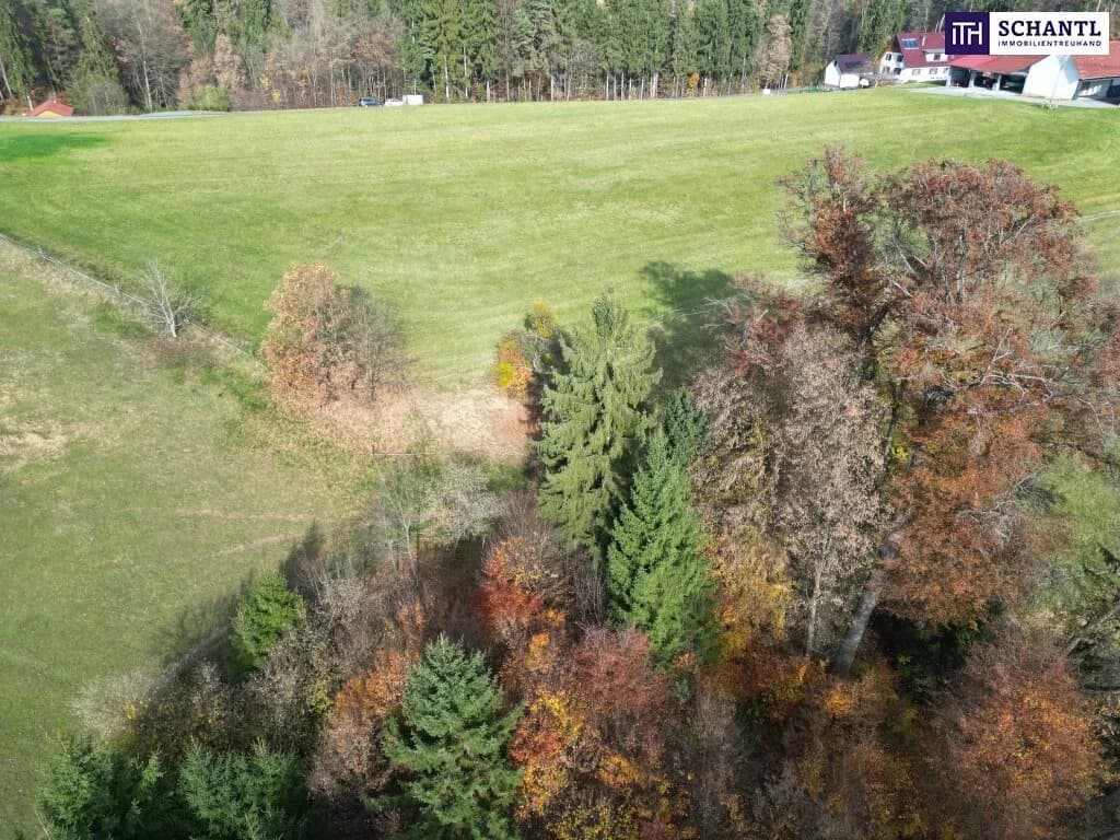 Grundstück kaufen in Deutschlandsberg – 1 099 m², € 351.718 – Bild 17 von 27