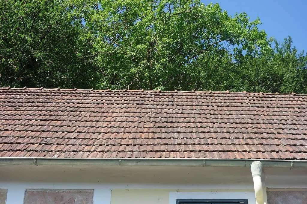 5-Zimmer-Haus kaufen in Krems Land – 85 m², € 68.000 – Bild 6 von 36