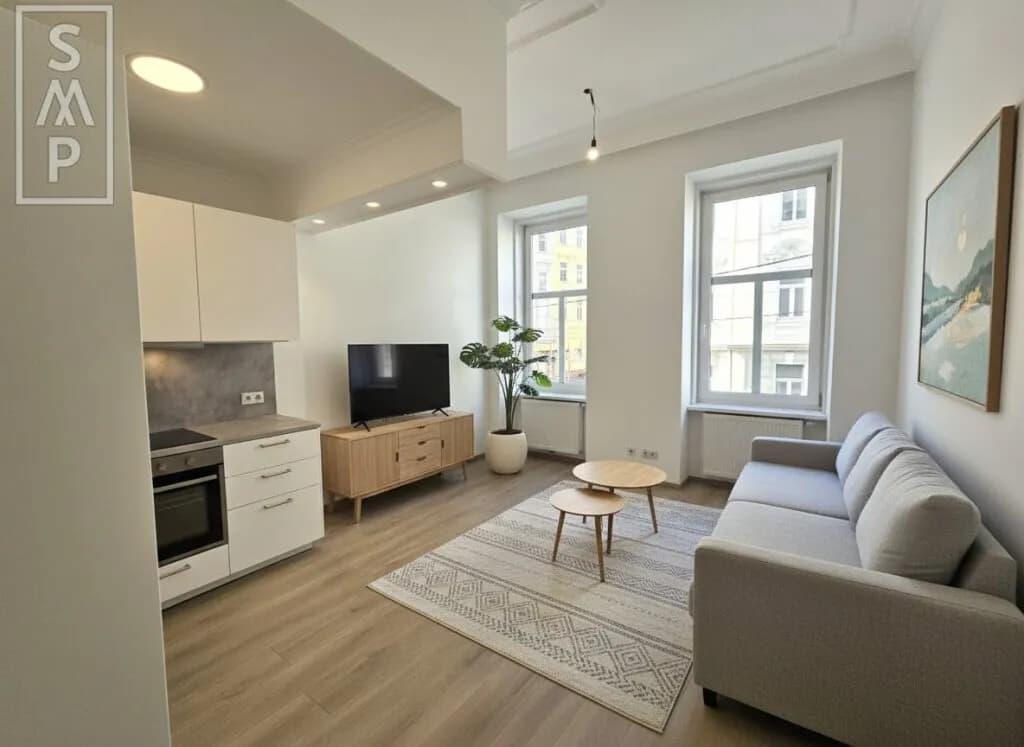 1-Zimmer-Wohnung kaufen in Wien – 22,49 m², € 124.000