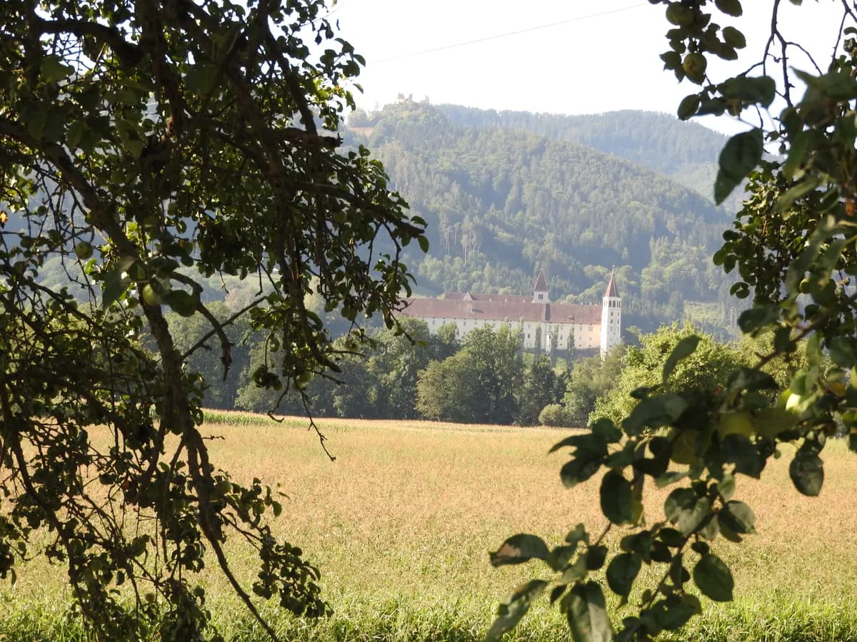 Grundstück kaufen in Wolfsberg – 14 475 m² – Bild 1 von 2