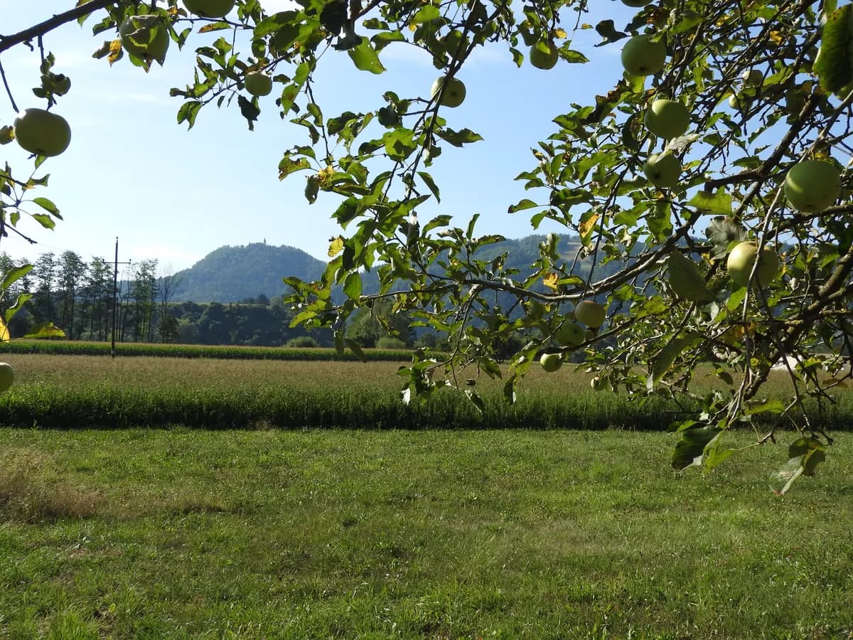 Grundstück kaufen in Wolfsberg – 14 475 m² – Bild 2 von 2
