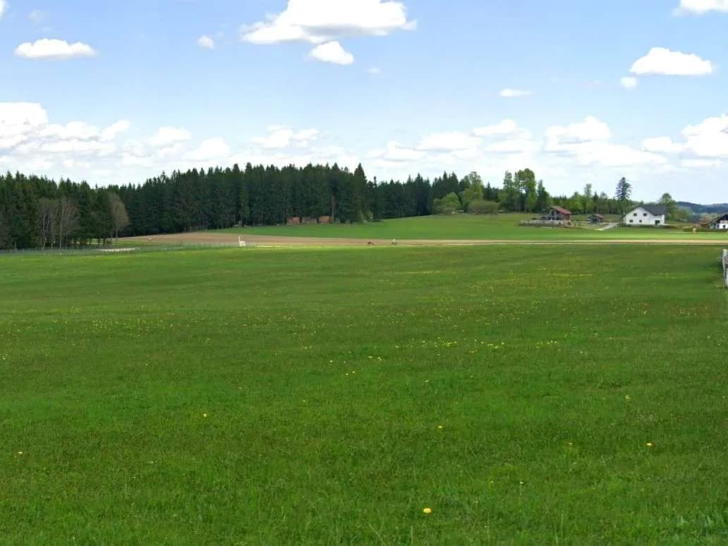 Haus kaufen in Freistadt – 130 m² – Bild 3 von 7