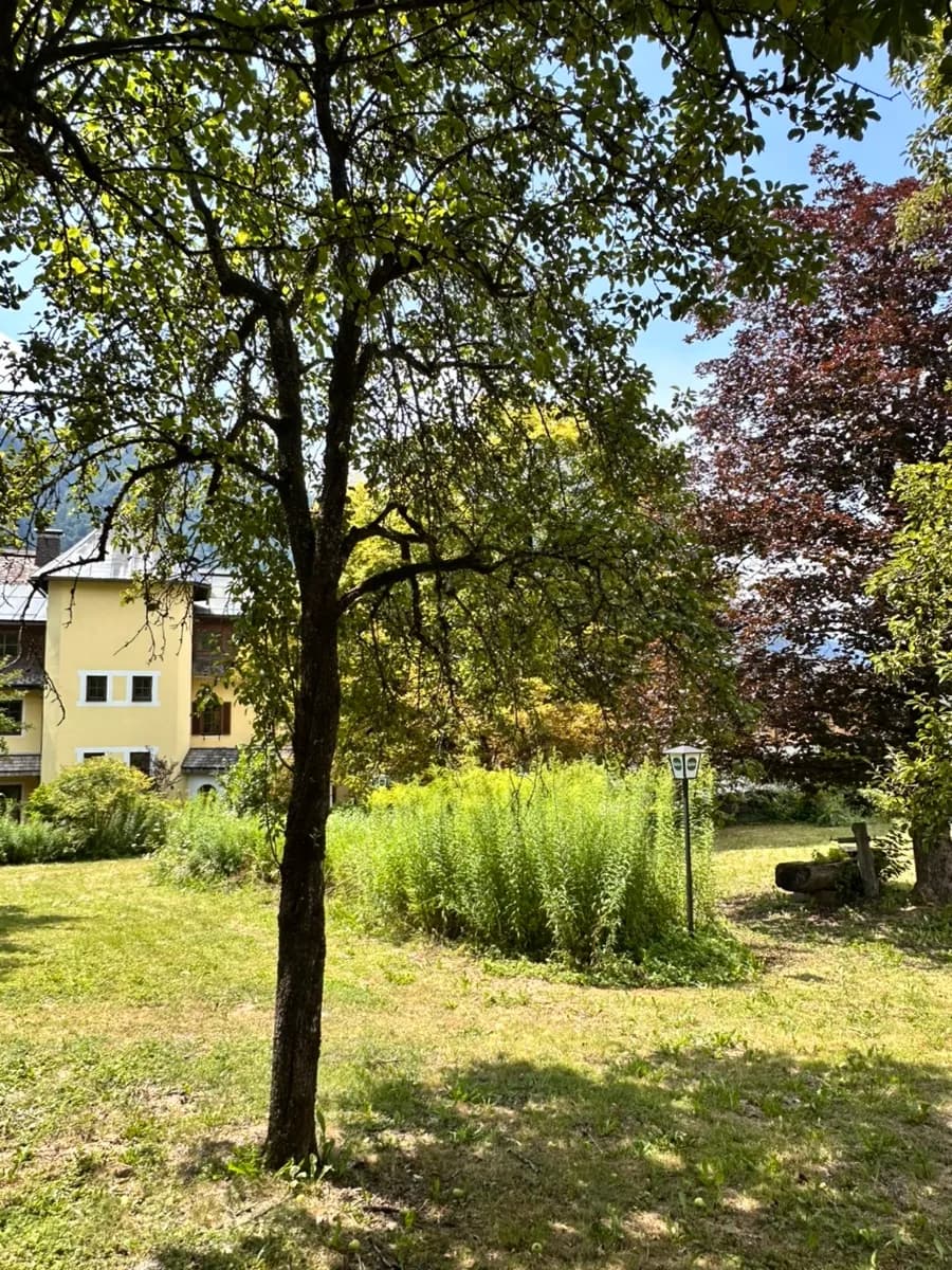 12-Zimmer-Gewerbeimmobilie kaufen in Hermagor – 3 000 m², € 749.000 – Bild 16 von 32