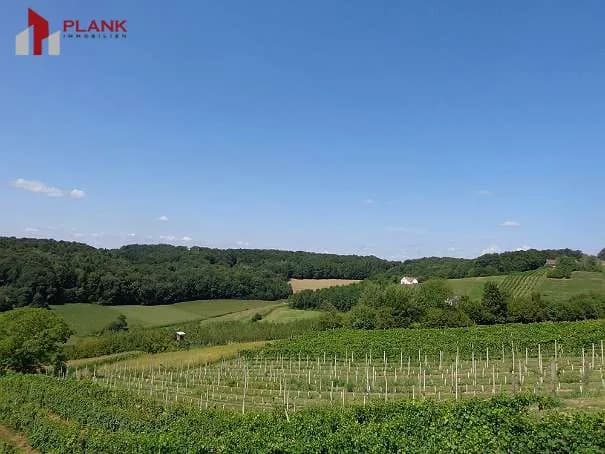 Gewerbeimmobilie kaufen in Südoststeiermark – 550 m², € 650.000 – Bild 5 von 18
