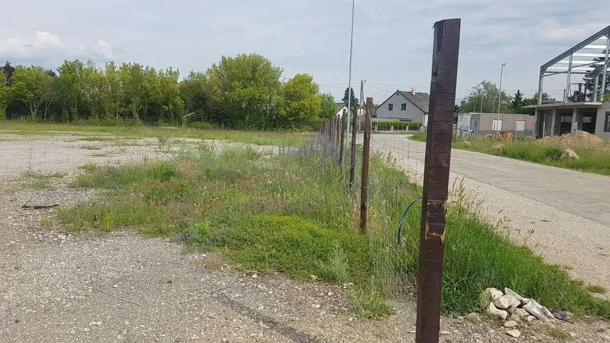 Immobilie mieten in Gänserndorf – 4 000 m² – Bild 3 von 3