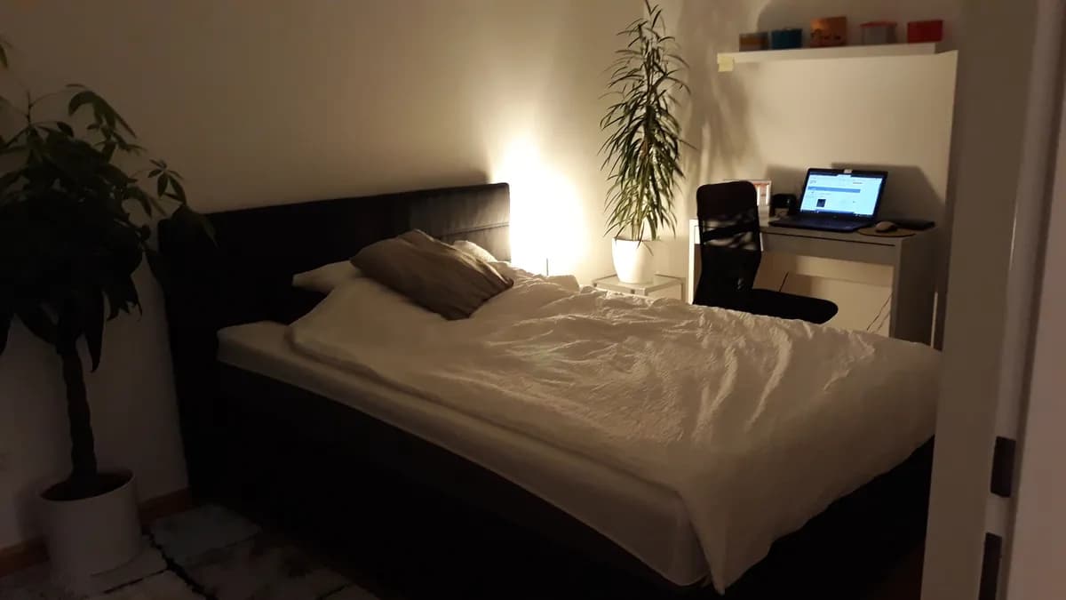 2-Zimmer-Wohnung mieten in Graz – 40 m², € 800 – Bild 4 von 5