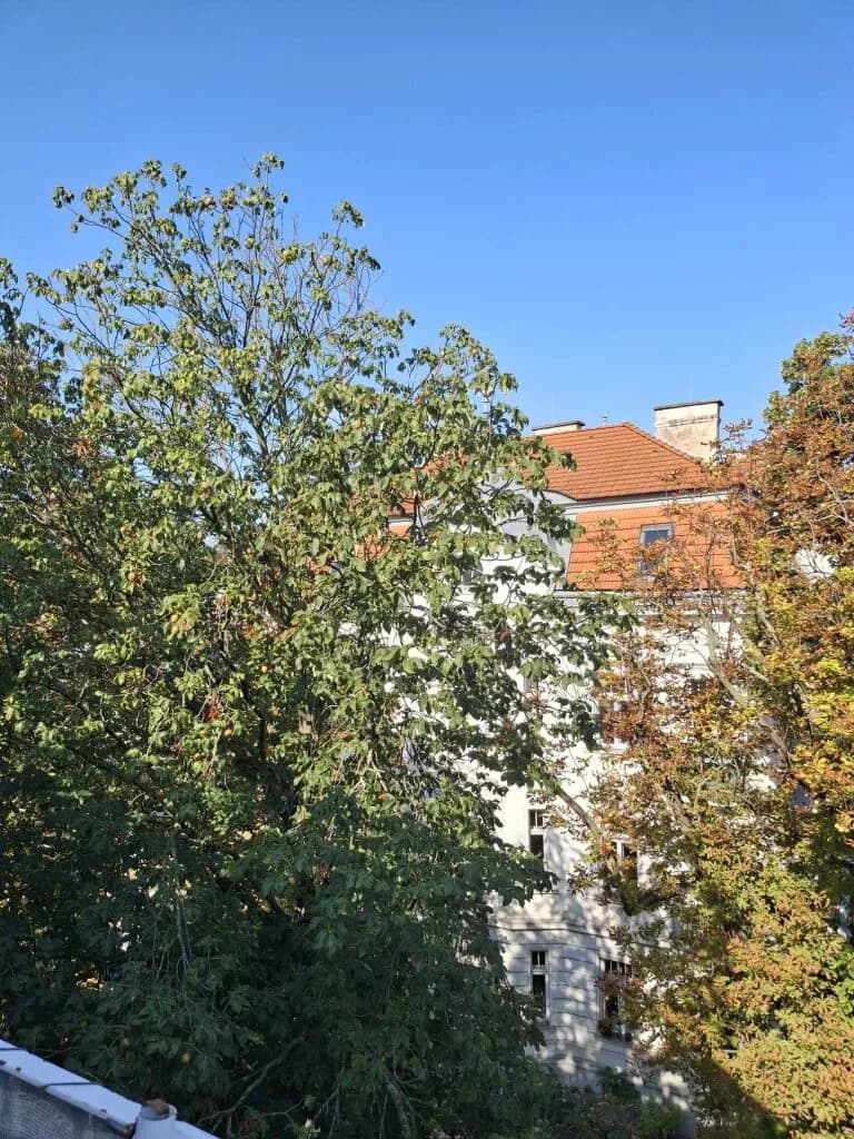 Wohnung kaufen in Wien – 120,92 m², € 890.000 – Bild 1 von 19