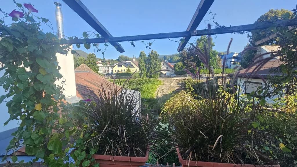 Immobilie kaufen in Sankt Veit an der Glan – 210 m², € 539.000