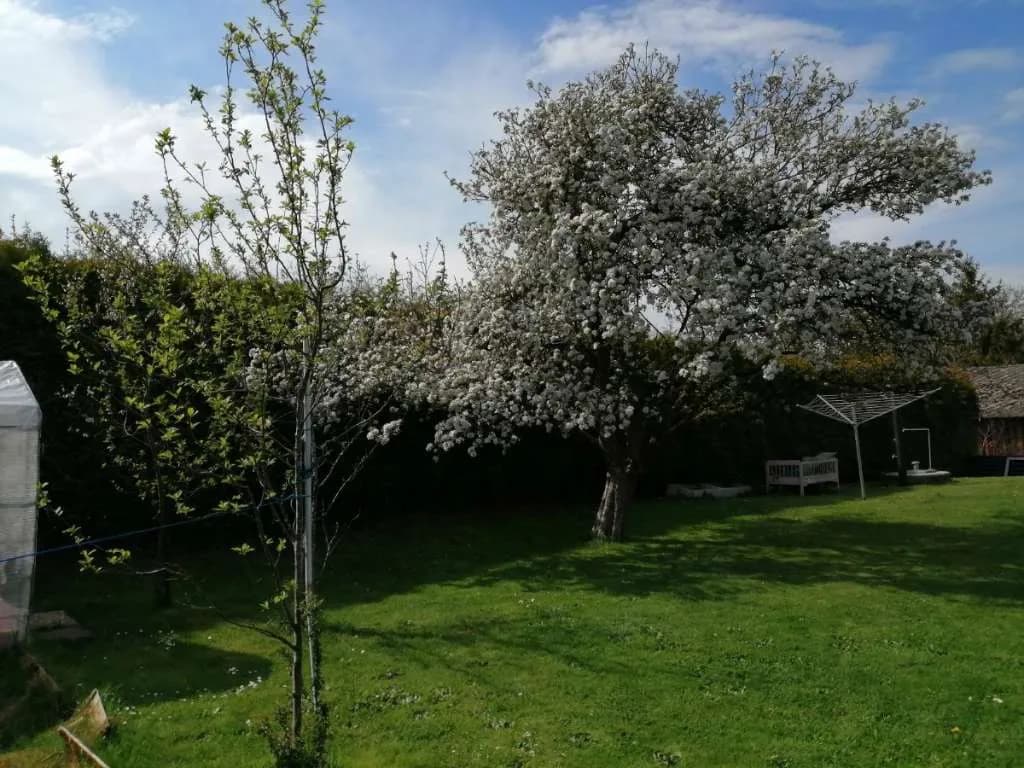 4-Zimmer-Immobilie kaufen in Vöcklabruck – 80 m², € 350.000 – Bild 5 von 9