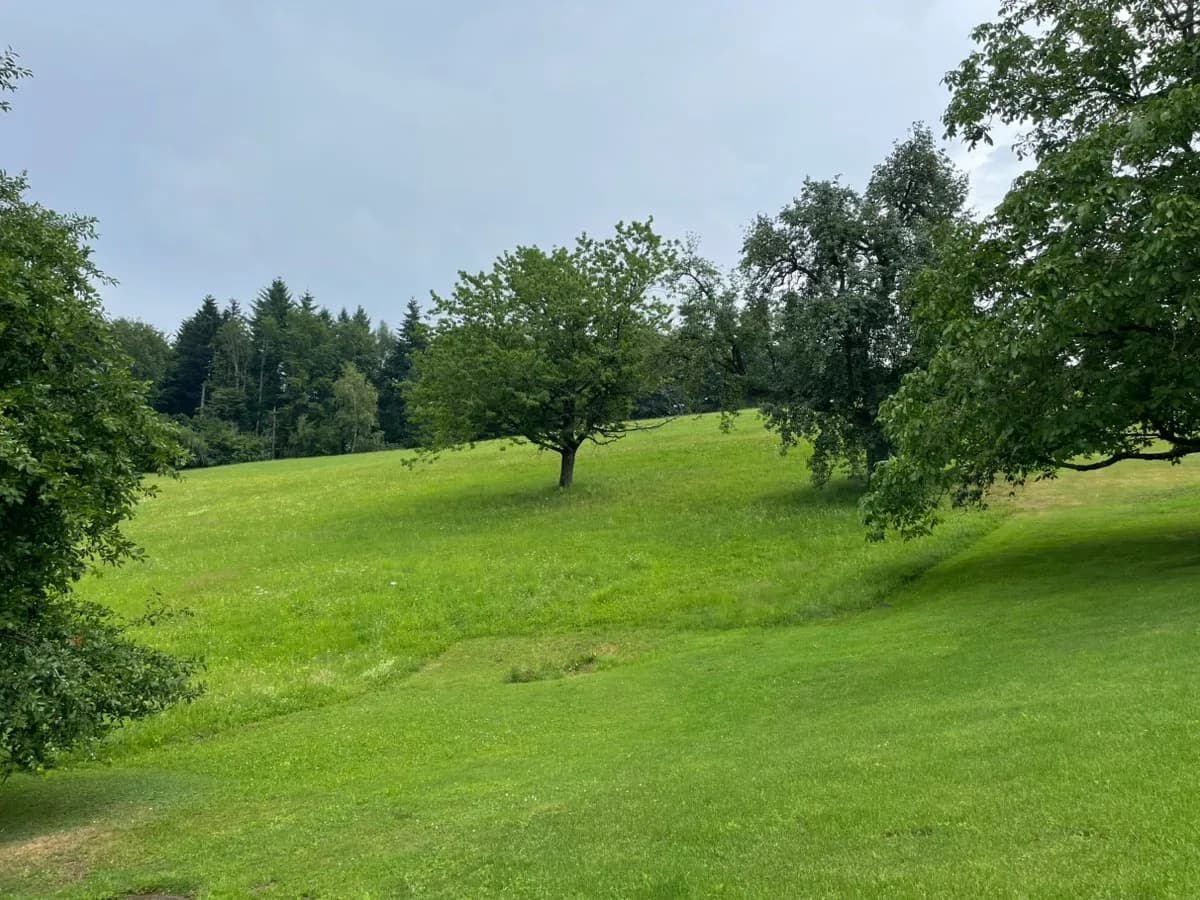7-Zimmer-Haus kaufen in Schärding – 225 m², € 300.000 – Bild 23 von 25