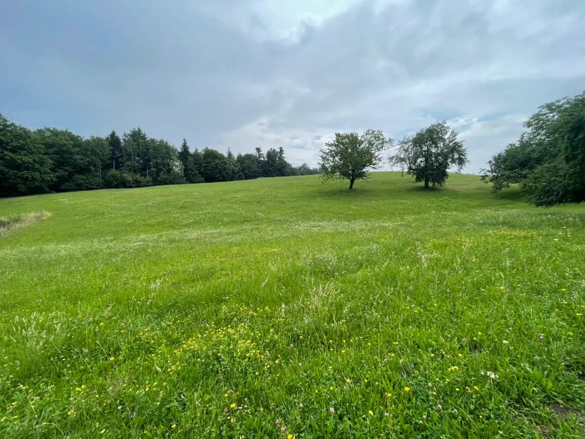 7-Zimmer-Haus kaufen in Schärding – 225 m², € 300.000 – Bild 24 von 25