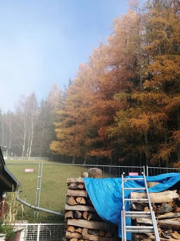 5-Zimmer-Haus kaufen in Leoben – 67 m², € 164.900 – Bild 30 von 39