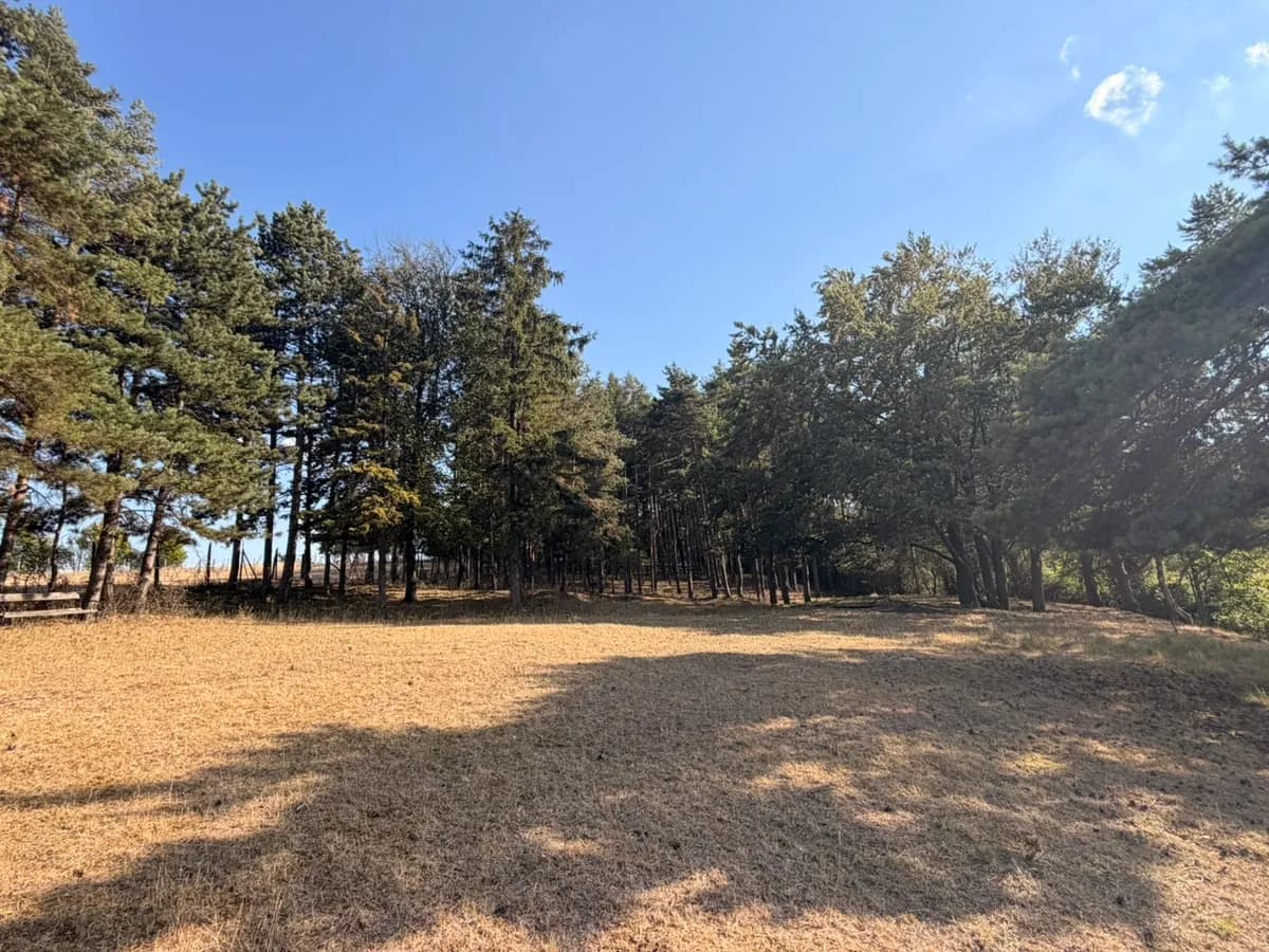Grundstück kaufen in Korneuburg – 5 600 m² – Bild 2 von 5