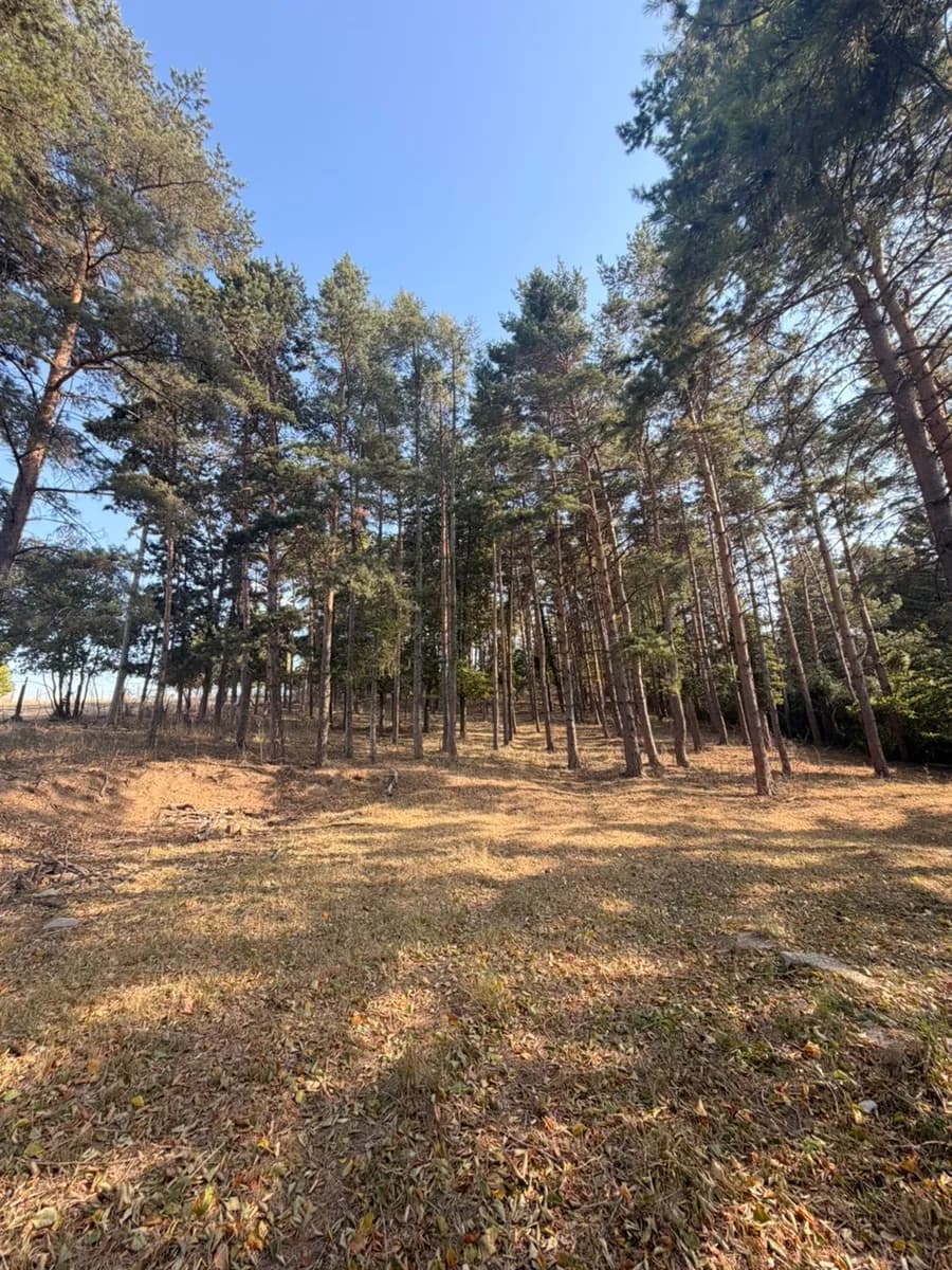 Grundstück kaufen in Korneuburg – 5 600 m² – Bild 4 von 5