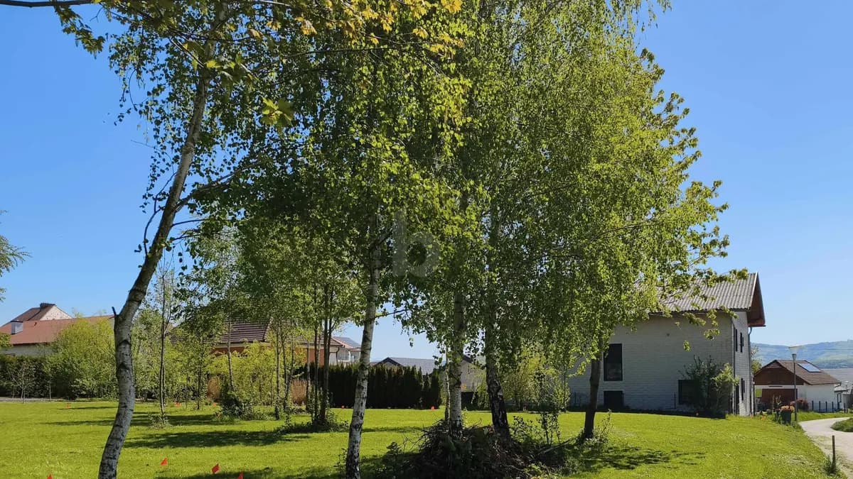 Grundstück kaufen in Amstetten – 1 264 m²