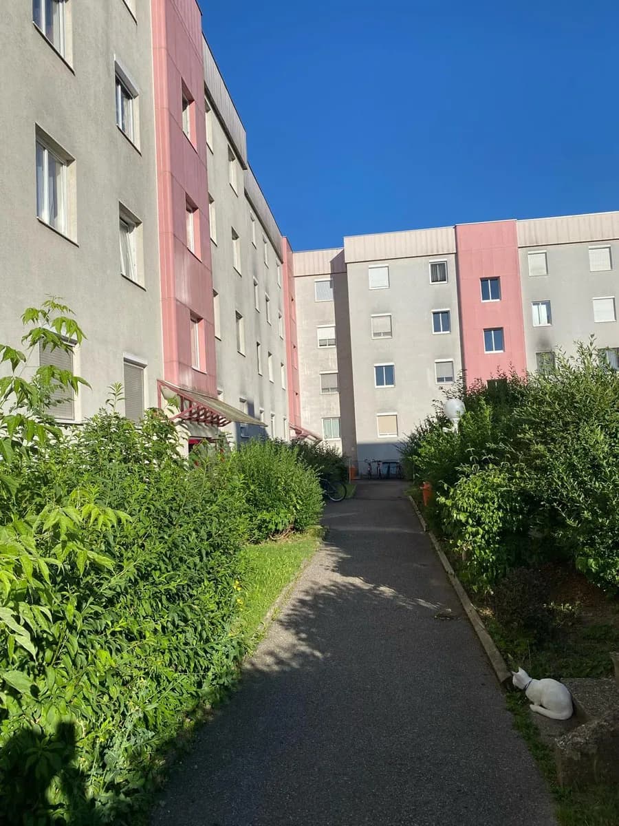 4-Zimmer-Wohnung kaufen in Linz Land – 75 m², € 212.121